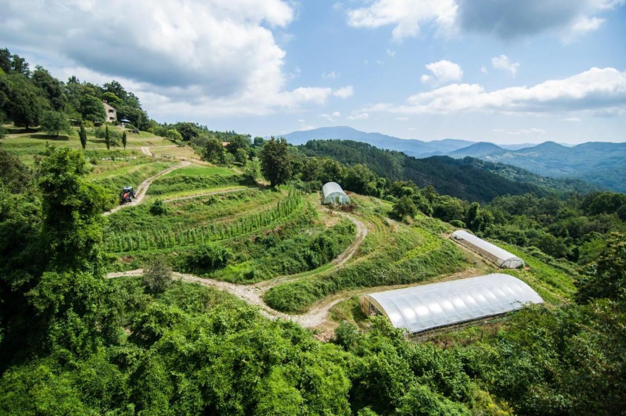 Agriturismo Giandriale Tavarone المظهر الخارجي الصورة