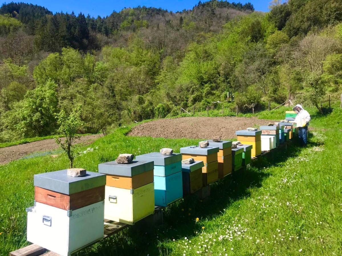 Agriturismo Giandriale Tavarone المظهر الخارجي الصورة